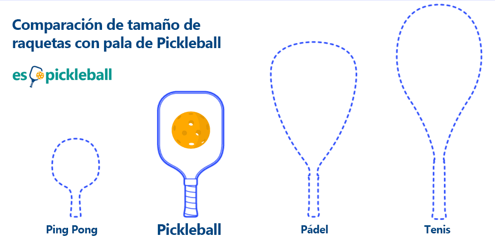 medidas palas de pickleball gráfico